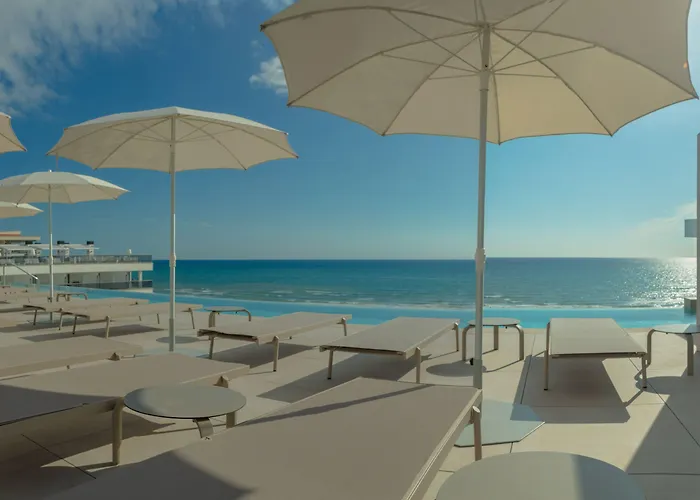 Rh Bayren & 4* Sup 甘迪亚